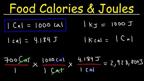 1490kj to calories